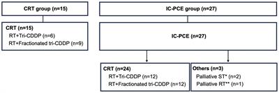 Induction chemotherapy with paclitaxel, carboplatin, and cetuximab (PCE) followed by chemoradiotherapy for unresectable locoregional recurrence after curative surgery in patients with squamous cell carcinoma of the head and neck